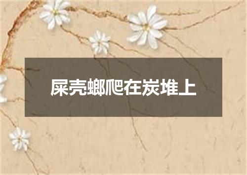 屎壳螂爬在炭堆上