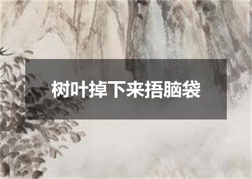 树叶掉下来捂脑袋