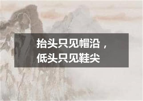 抬头只见帽沿，低头只见鞋尖
