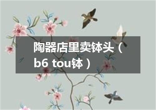 陶器店里卖钵头（b6 tou钵）