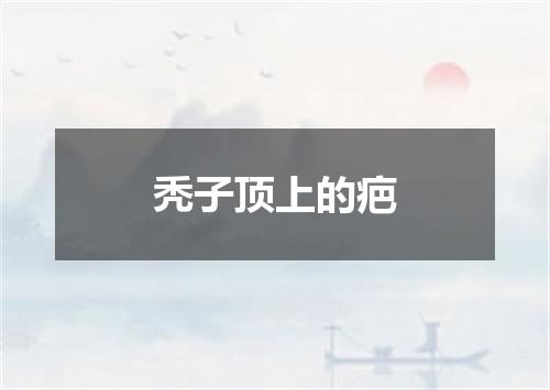 秃子顶上的疤