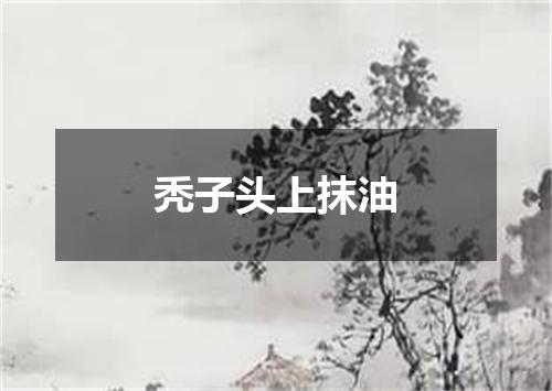秃子头上抹油