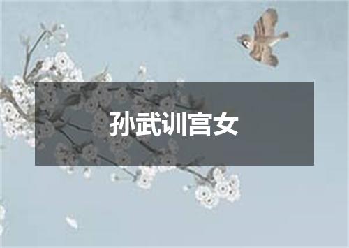 孙武训宫女