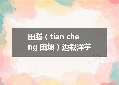 田塍（tian cheng 田埂）边栽洋芋