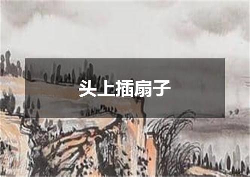 头上插扇子