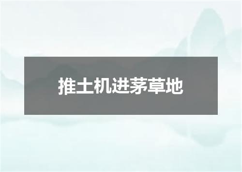 推土机进茅草地