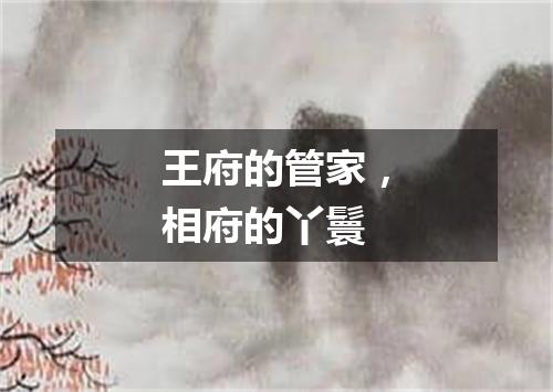 王府的管家，相府的丫鬟