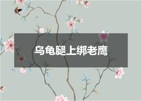 乌龟腿上绑老鹰