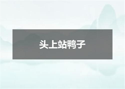 头上站鸭子