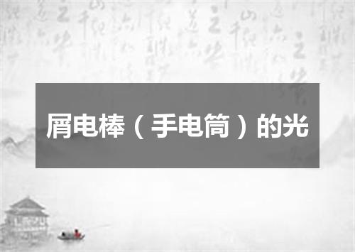 屑电棒（手电筒）的光