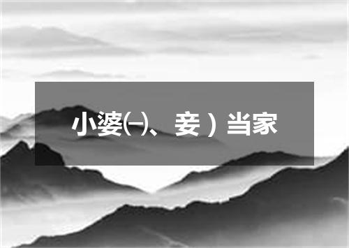 小婆㈠、妾）当家