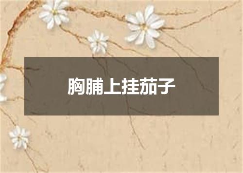 胸脯上挂茄子