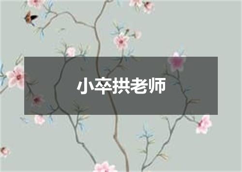 小卒拱老师