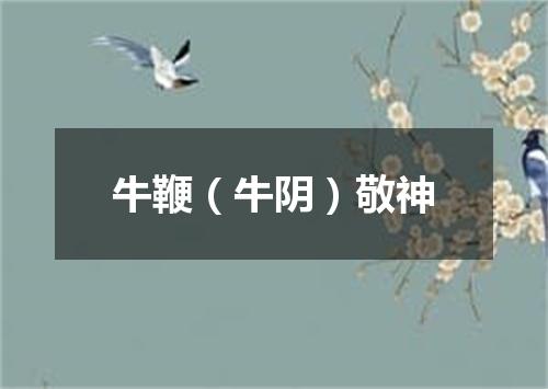 牛鞭（牛阴）敬神