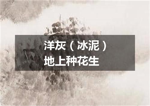 洋灰（冰泥）地上种花生