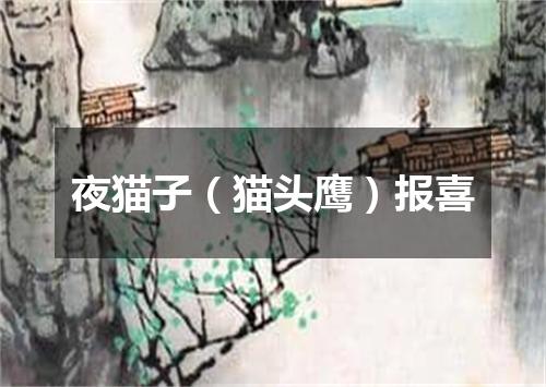 夜猫子（猫头鹰）报喜
