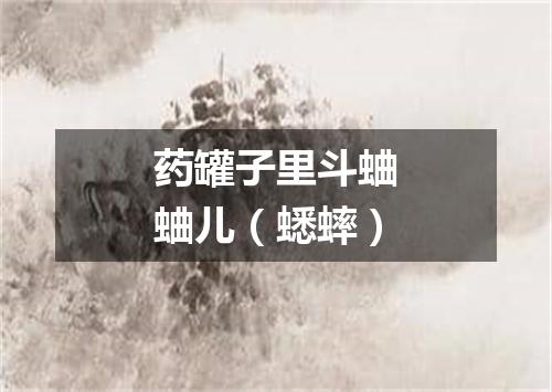 药罐子里斗蛐蛐儿（蟋蟀）