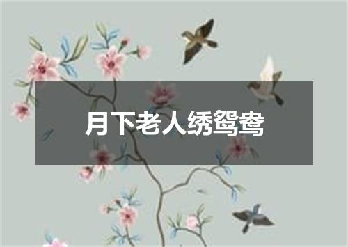 月下老人绣鸳鸯