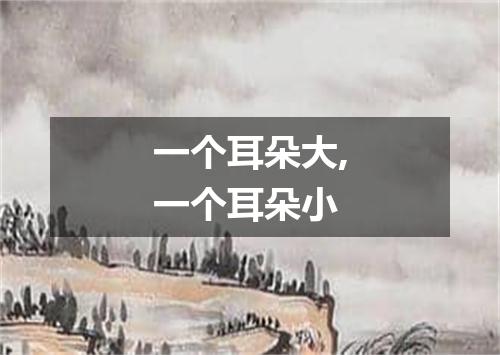 一个耳朵大,一个耳朵小