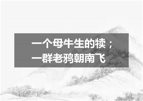 一个母牛生的犊；一群老鸦朝南飞