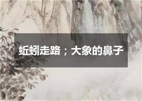 蚯蚓走路；大象的鼻子