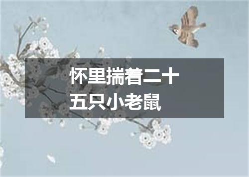 怀里揣着二十五只小老鼠