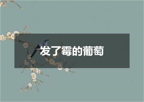 发了霉的葡萄