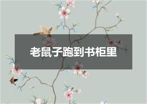 老鼠子跑到书柜里
