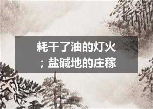 耗干了油的灯火；盐碱地的庄稼
