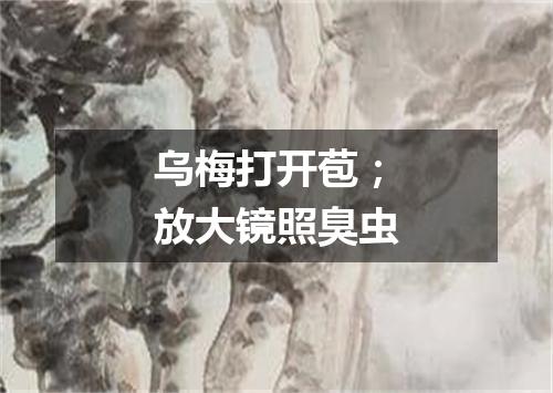 乌梅打开苞；放大镜照臭虫