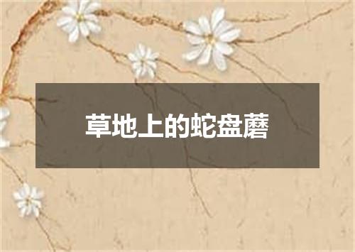 草地上的蛇盘蘑