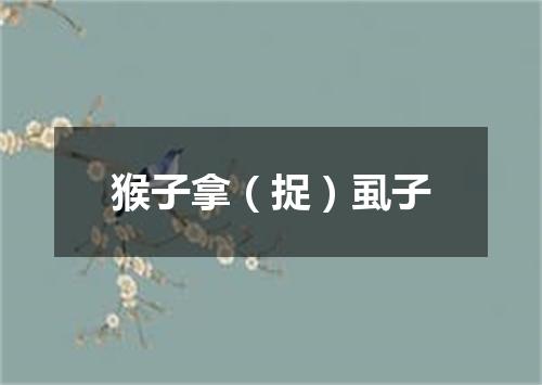 猴子拿（捉）虱子