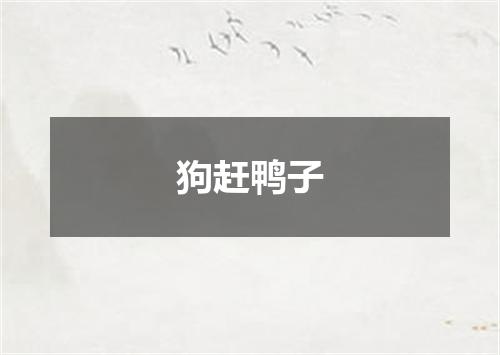狗赶鸭子