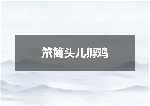 笊篱头儿孵鸡
