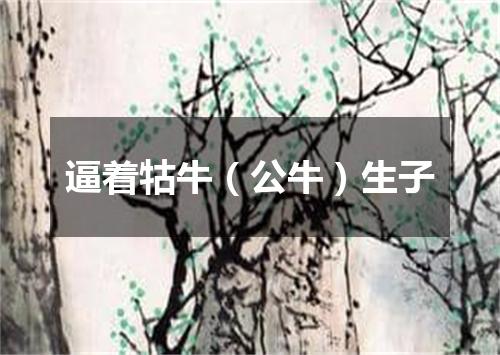 逼着牯牛（公牛）生子