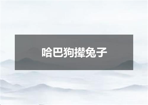 哈巴狗撵兔子