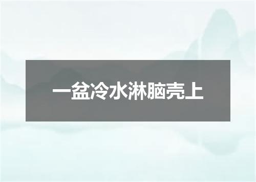 一盆冷水淋脑壳上