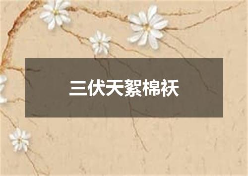三伏天絮棉袄