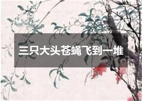 三只大头苍蝇飞到一堆