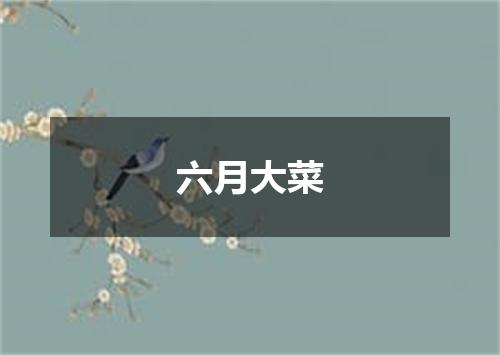 六月大菜