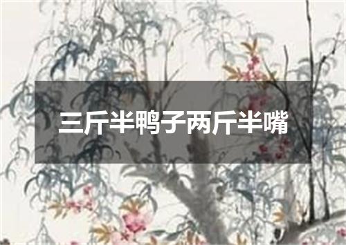 三斤半鸭子两斤半嘴