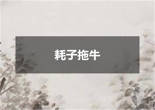 耗子拖牛