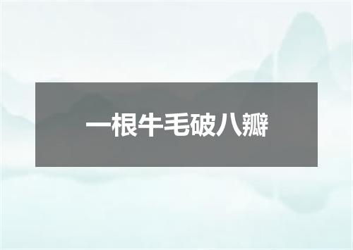 一根牛毛破八瓣
