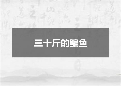 三十斤的鳊鱼