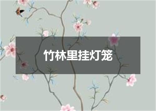 竹林里挂灯笼