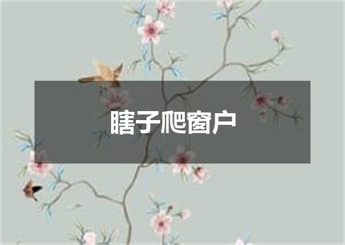 瞎子爬窗户