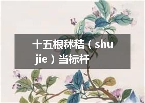 十五根秫秸（shu jie）当标杆