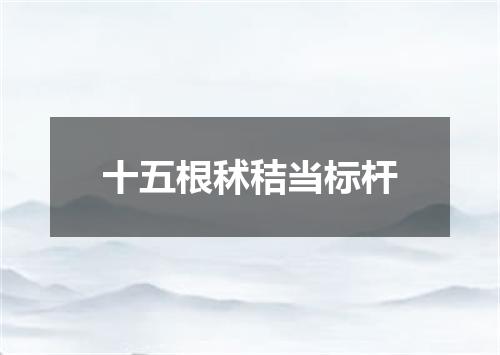 十五根秫秸当标杆