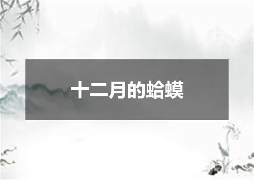 十二月的蛤蟆