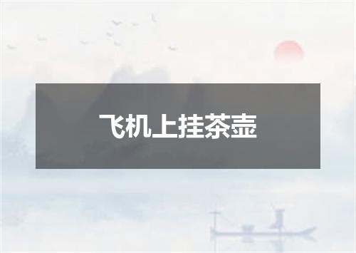 飞机上挂茶壶